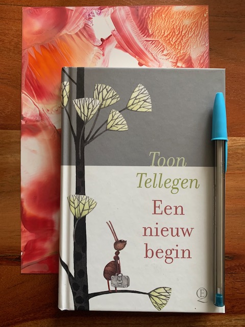 Bundel Zomer Elfjes Juni en Augustus - Afbeelding 3